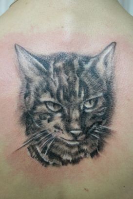 Cat Tats Face Designs