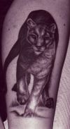 big cat tattoos design