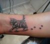 cat and paw tattoo on arm