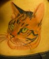 cat head tattoo on back