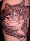 cat tattoo pics 