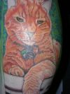 cat tattoos pics