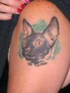 cat tattoo on arm