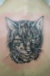 cat tats face designs