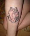 white cat tattoo