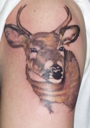 Deer Tattoo On Arm