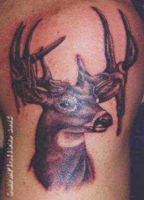 Deer Tattoo Pics