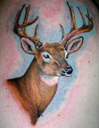 Deer Tattoos Images