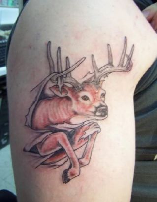 Deer Pics Tattoo On Arm