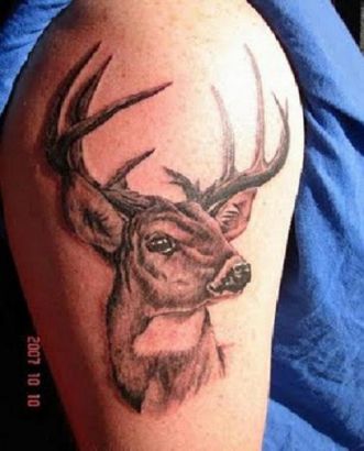 Deer Head Picture Tattoo