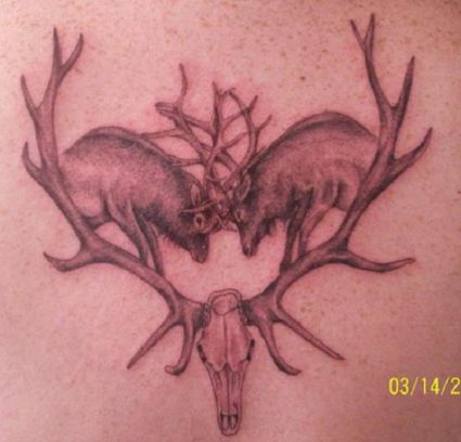 Fights Deer Tattoos