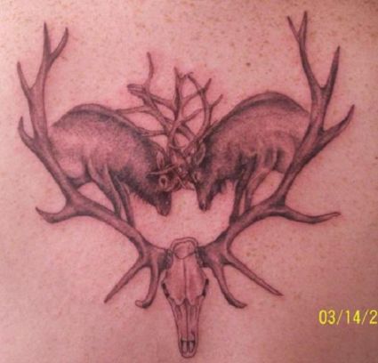 Fights Deer Tattoos