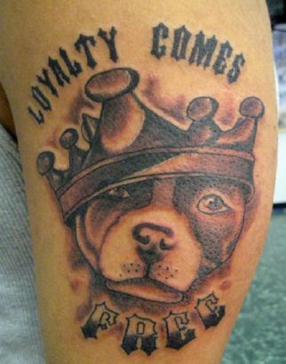 Dog Head Tattoo Pic