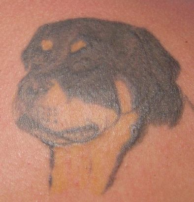 Dog Head Pics Tattoo