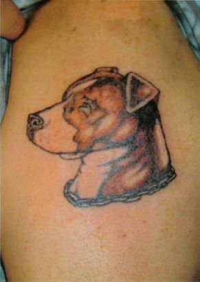 Dog Head Tattoos Pic