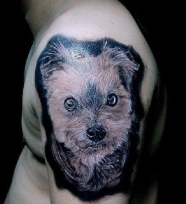 Dog Head Pic Tattoos