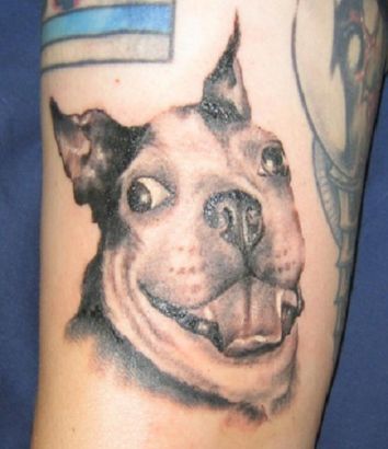 Dog Head Images Tattoo