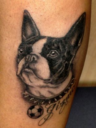 Dog Tattoo