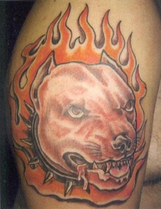 Flaming Dog Head Tattoo 