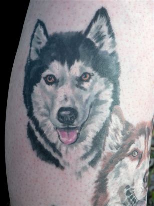 Animal tattoos, Dog tattoos, Tattoos of Animal, Tattoos of Dog, Animal tats, Dog tats, Animal free tattoo designs, Dog free tattoo designs, Animal tattoos picture, Dog tattoos picture, Animal pictures tattoos, Dog pictures tattoos, Animal free tattoos, Dog free tattoos, Animal tattoo, Dog tattoo, Animal tattoos idea, Dog tattoos idea, Animal tattoo ideas, Dog tattoo ideas, dog face tattoo