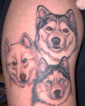 Animal tattoos, Dog tattoos, Tattoos of Animal, Tattoos of Dog, Animal tats, Dog tats, Animal free tattoo designs, Dog free tattoo designs, Animal tattoos picture, Dog tattoos picture, Animal pictures tattoos, Dog pictures tattoos, Animal free tattoos, Dog free tattoos, Animal tattoo, Dog tattoo, Animal tattoos idea, Dog tattoos idea, Animal tattoo ideas, Dog tattoo ideas, dog heads tattoo on arm