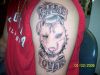 Dog tattoos on arm 