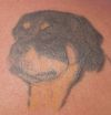 dog head pics tattoo
