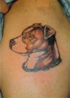 dog head tattoos pic