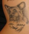 dog head image tattoo