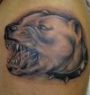 dog head images tattoos 