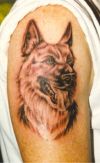 dog image of tattoo