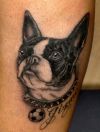 dog tattoo