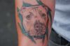 Dog tattoos design image