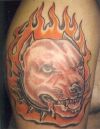 flaming dog head tattoo 