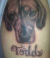 dog tattoos on shoulder