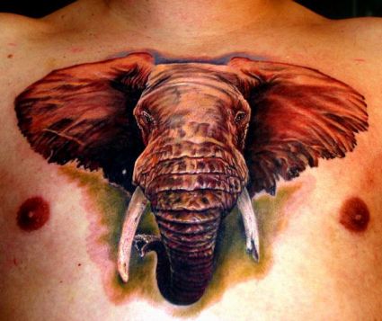 Elephant Head Tattoo On Chest