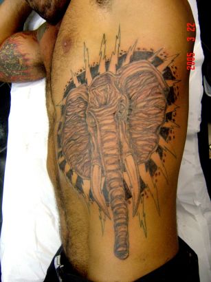 Elephant Head Tattoo On Rib