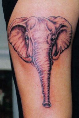 Elephant Head Tattoo Pics