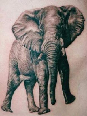 Elephant Tattoos Pics