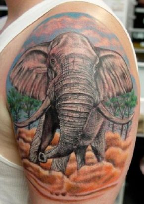 Elephant Shoulder Tattoo