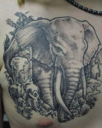 Elephant Tattoo On Side Chest