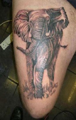 Elephant Tattoo On Thigh