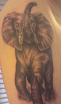 Elephant Tattoo Image