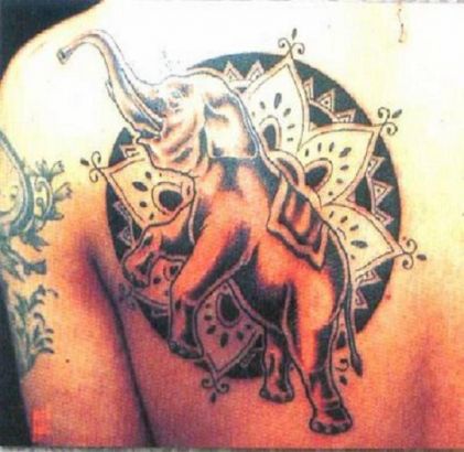 Elephant Shoulder Tattoo Pic