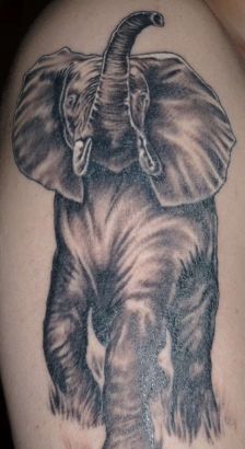 Elephant Tattoo Images
