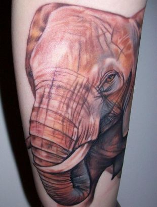 Elephant Image Tattoo