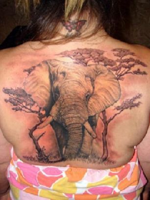 Elephant And Tree Tattoo On Back