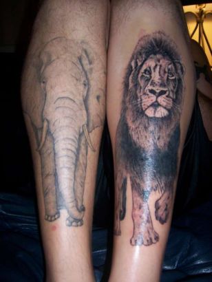 Elephant And Lion Tattoo