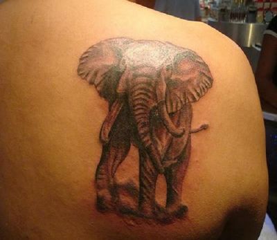 Animal tattoos, Elephant tattoos, Tattoos of Animal, Tattoos of Elephant, Animal tats, Elephant tats, Animal free tattoo designs, Elephant free tattoo designs, Animal tattoos picture, Elephant tattoos picture, Animal pictures tattoos, Elephant pictures tattoos, Animal free tattoos, Elephant free tattoos, Animal tattoo, Elephant tattoo, Animal tattoos idea, Elephant tattoos idea, Animal tattoo ideas, Elephant tattoo ideas, elephant tattoo on right shoulder