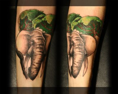 Animal tattoos, Elephant tattoos, Tattoos of Animal, Tattoos of Elephant, Animal tats, Elephant tats, Animal free tattoo designs, Elephant free tattoo designs, Animal tattoos picture, Elephant tattoos picture, Animal pictures tattoos, Elephant pictures tattoos, Animal free tattoos, Elephant free tattoos, Animal tattoo, Elephant tattoo, Animal tattoos idea, Elephant tattoos idea, Animal tattoo ideas, Elephant tattoo ideas, elephant with tree tattoo